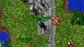 Dom Doko on screen