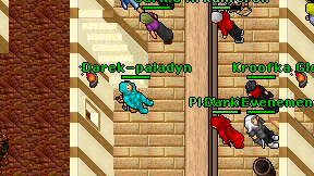 Darek-paladyn on screen