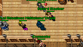 Maxiums'Druid on screen
