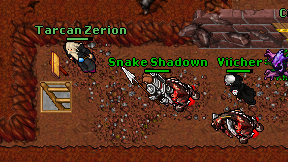 Snake Shadown on screen