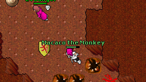 Macaco the Monkey on screen