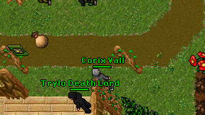 Corix Vall on screen