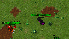 Charmosinha on screen