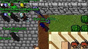 Dario-Elfo on screen