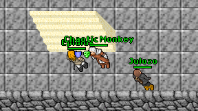 Chaotic Monkey on screen