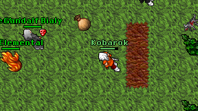 Kobarok on screen