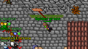 Spider grass on screen