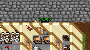 Vyldar on screen