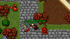 Sami Shenron on screen