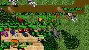 Siller Mahil on screen