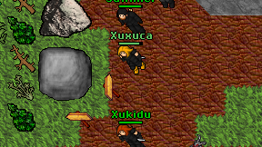 Xuxuca on screen