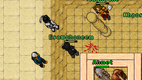 Esamghoneem on screen