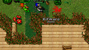 Rifikaro on screen