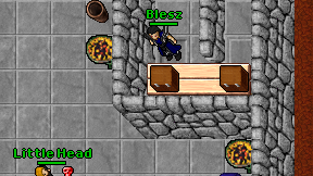 Blesz on screen