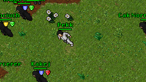 Pekk on screen