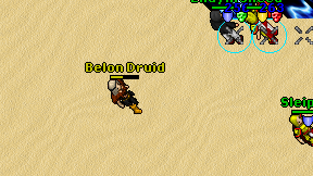 Belon Druid on screen