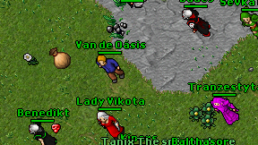 Van de Oasis on screen