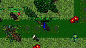 Dark Magicus on screen