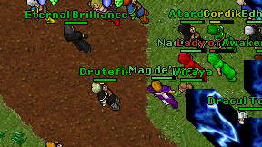 Drutefix on screen
