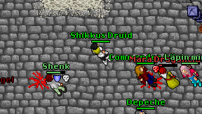 Shikkus Druid on screen
