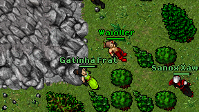 Gatinha Frat on screen