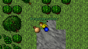 Begoldenator on screen