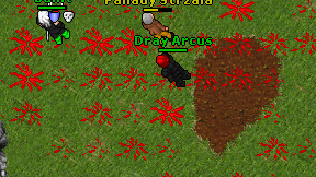 Dray Arcus on screen