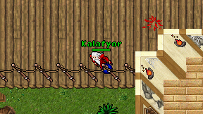 Kalafyor on screen