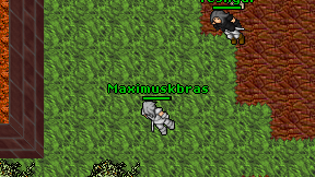 Maximuskbras on screen