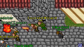 Coursed Wizard on screen