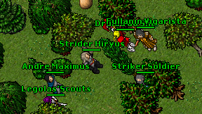 Strider Hiryus on screen