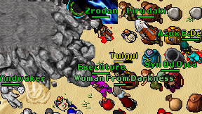 Executore on screen