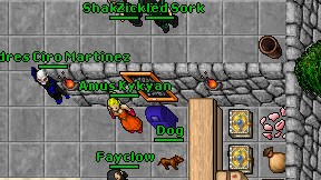 Zickled Sork on screen