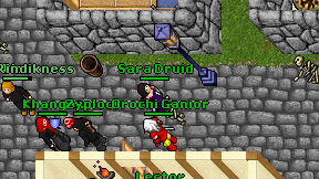 Sara Druid on screen