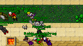 Hozzon on screen