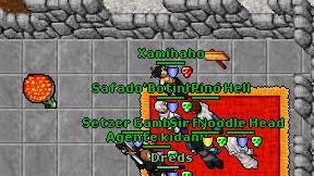 Xamihaho on screen