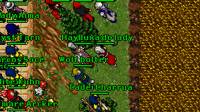 Wolf bolter on screen
