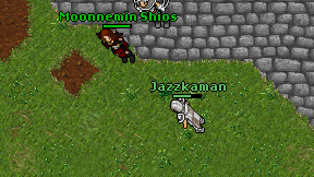 Jazzkaman on screen