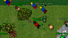Vyses on screen