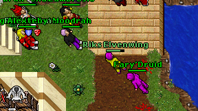 Riks Elvenwing on screen
