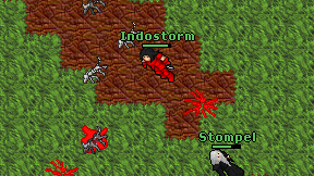 Indostorm on screen