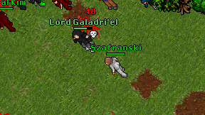 Szafranski on screen