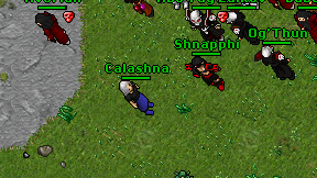 Calashna on screen