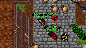 Eletur Hael on screen