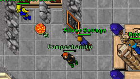 Silver Savage on screen