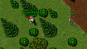 Anjo Preist on screen