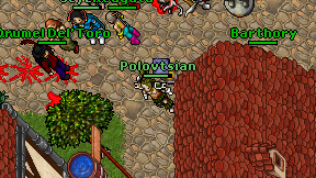 Polovtsian on screen