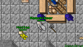 Hamski knur on screen
