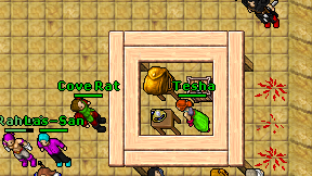 Cove Rat on screen