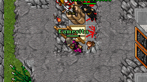 Kamesita on screen